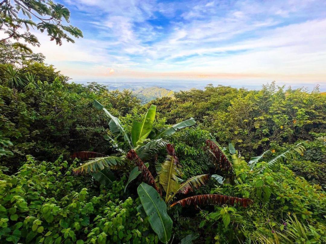 Domos Mirador Romantic Private Honeymoon Glamping Miramar Bagian luar foto
